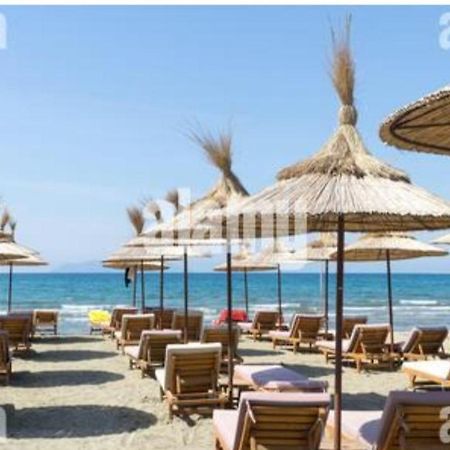 Studio By The Beach - فلورا المظهر الخارجي الصورة